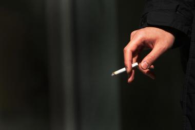 Kanapės Lietuvoje populiarėja, tabako rūkalių mažėja