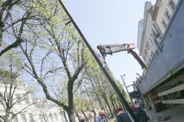 Už sugadintą stulpą alėjoje gali tekti susimokėti bendrovei