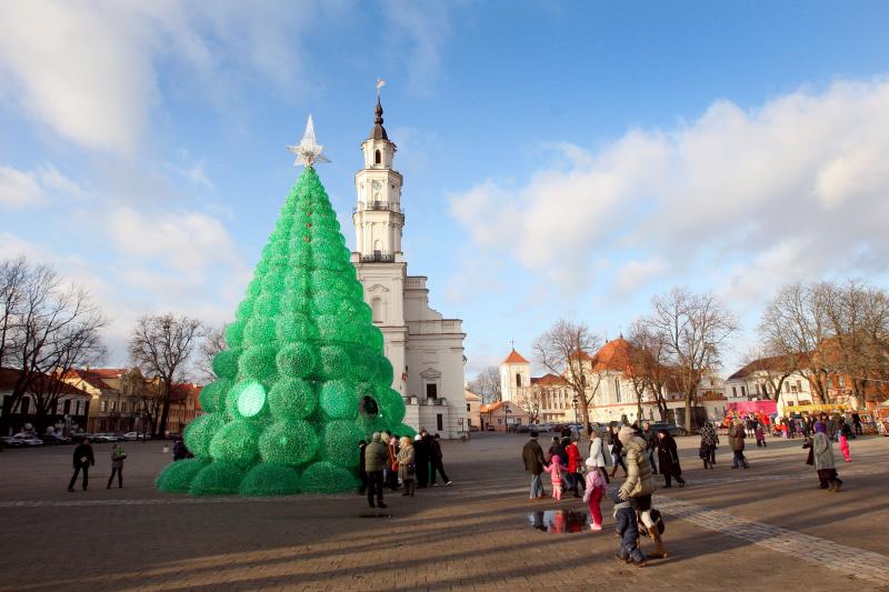 Nupuošti  smaragdinę eglę trukdo šaltis 