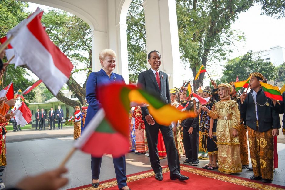 D. Grybauskaitė – aštuoneri metai prezidento poste