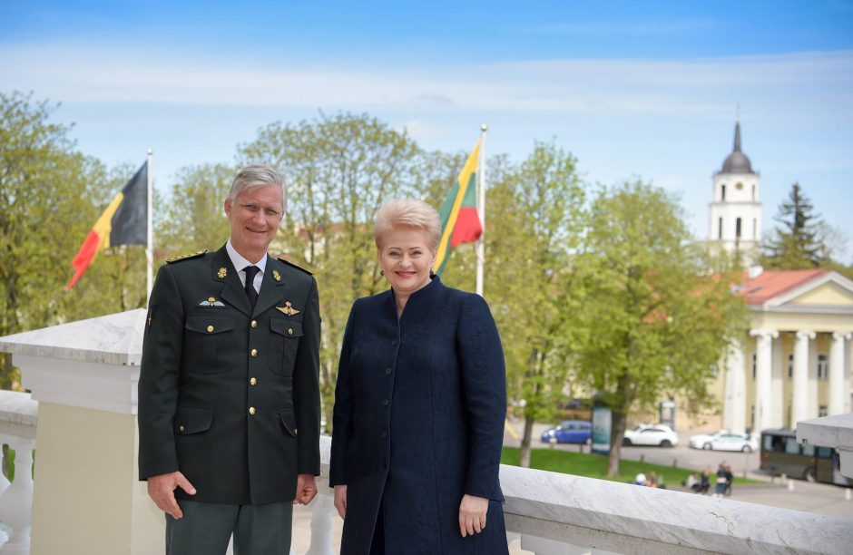 D. Grybauskaitė – aštuoneri metai prezidento poste