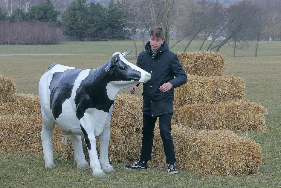 Kokių staigmenų šįkart paruošė „AgroBalt