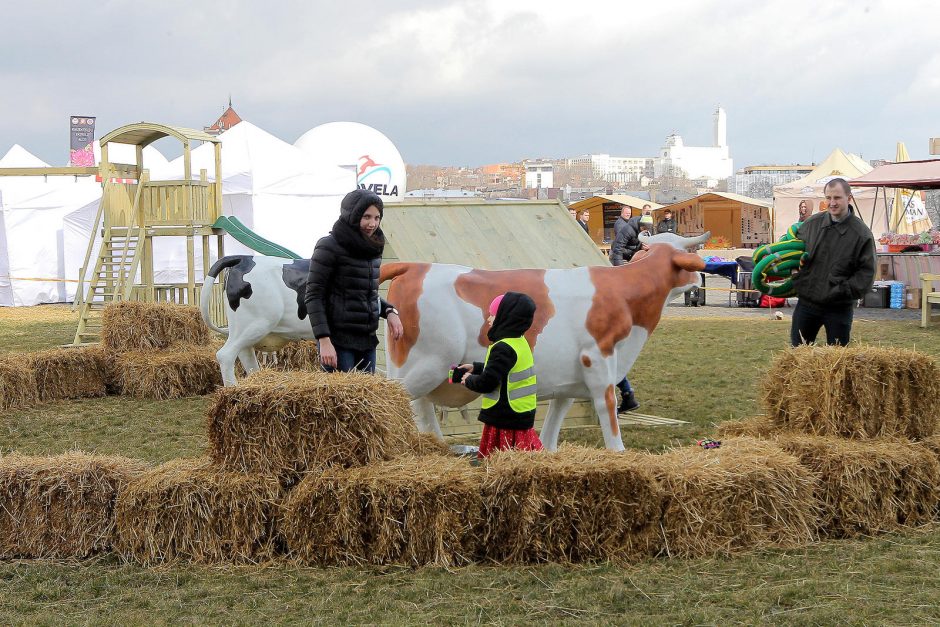 Kokių staigmenų šįkart paruošė „AgroBalt