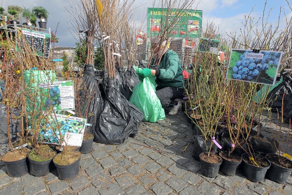 Kokių staigmenų šįkart paruošė „AgroBalt