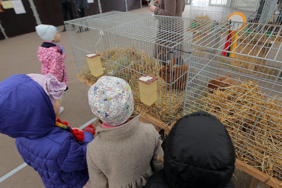 Kokių staigmenų šįkart paruošė „AgroBalt