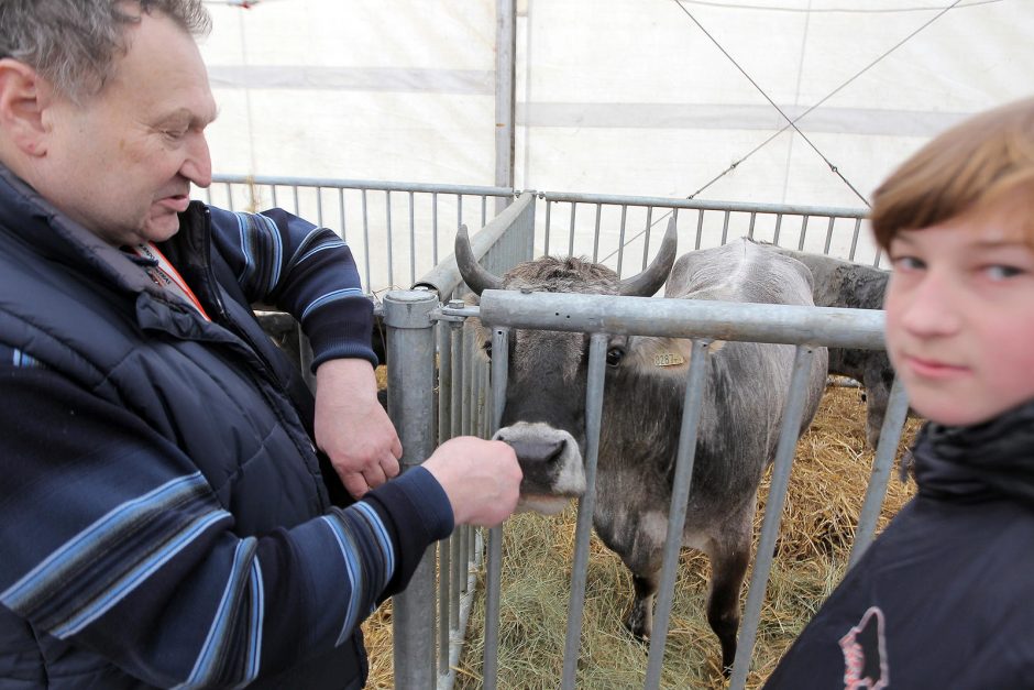 Kokių staigmenų šįkart paruošė „AgroBalt