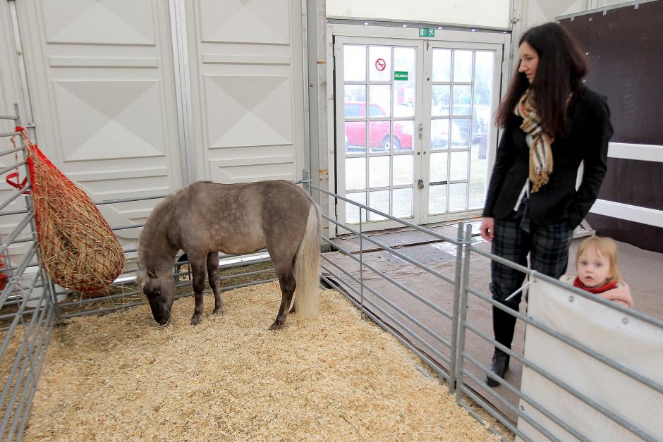 Kokių staigmenų šįkart paruošė „AgroBalt