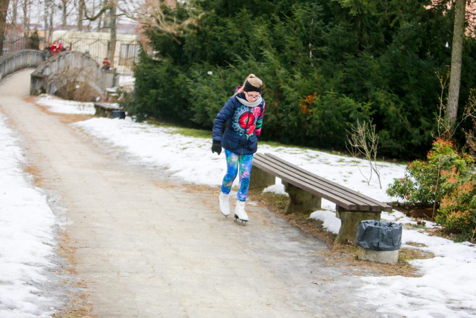 Ką žiemą galima pamatyti Botanikos sode?