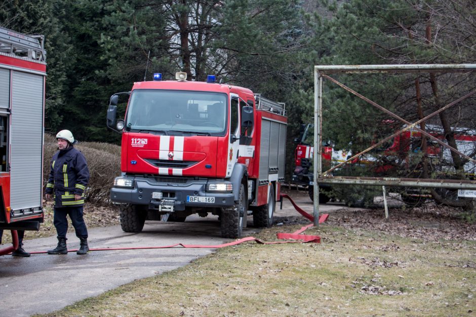 Gaisre žuvusių mažylių byla: teisiama jų motina pripažino savo kaltę