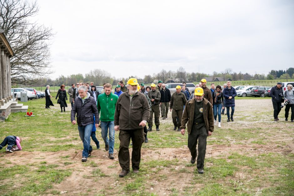 Neeilinė šventė – Rumšiškėse pasodinti šimtamečių ąžuolų klonai