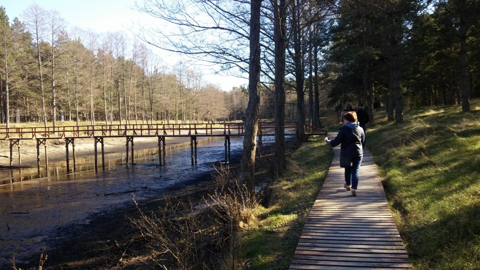 Dėl Paukščių tako uostamiestyje – geros žinios