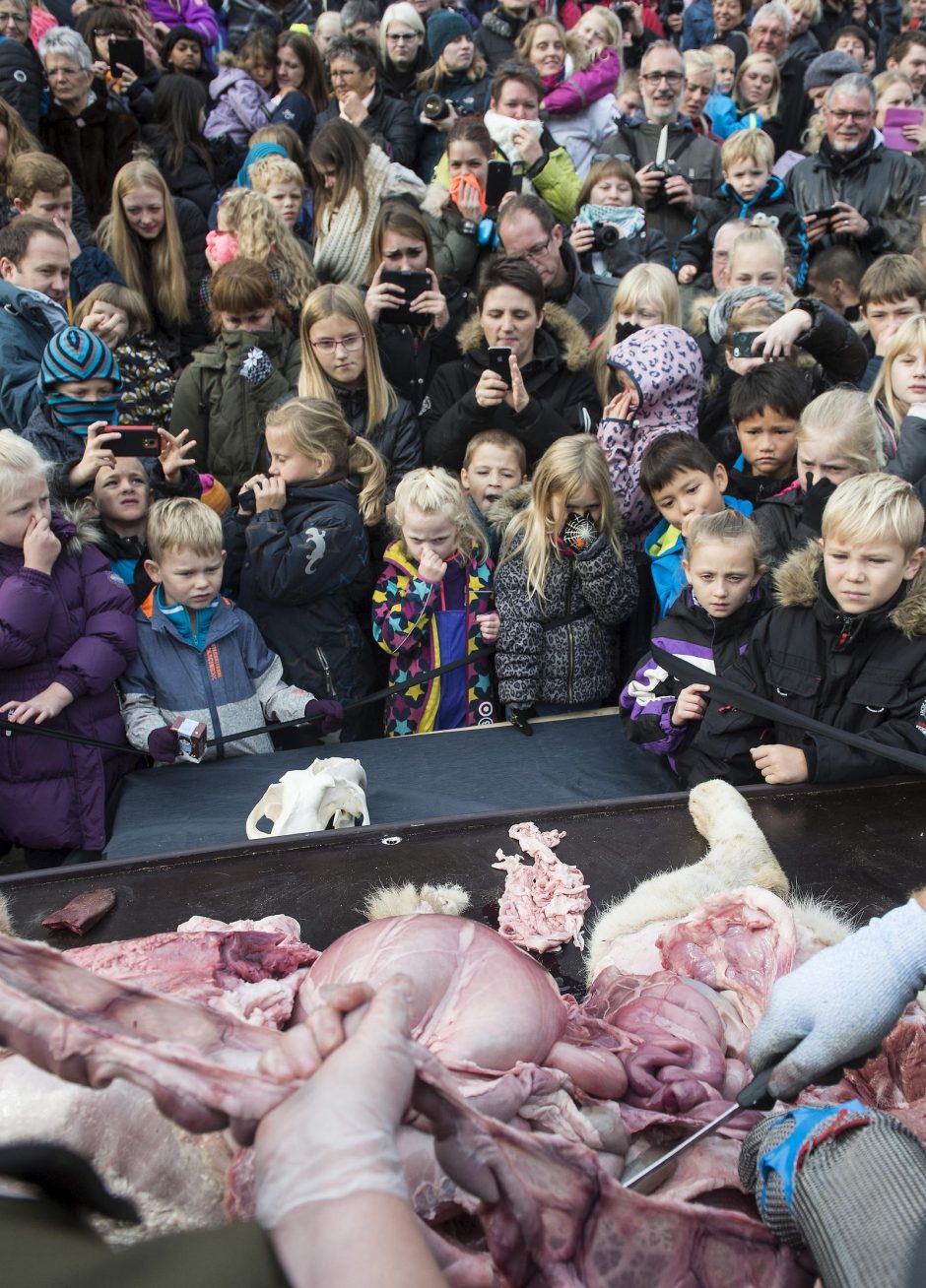 Danijos zoologijos sode liūtas išdarinėtas vaikų akivaizdoje 