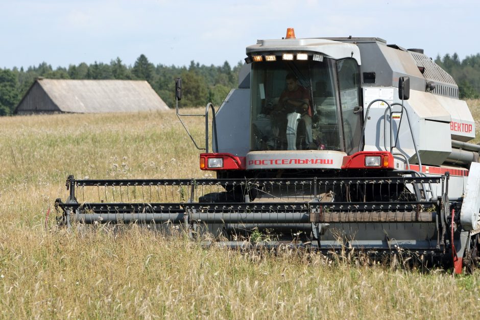 Kitą savaitę ūkininkams – pagrindinė tiesioginės išmokos dalis