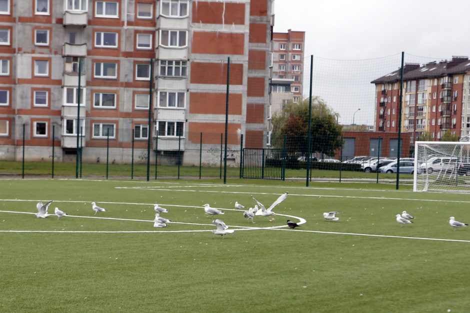 Atnaujinto stadiono kokybė sukėlė abejonių