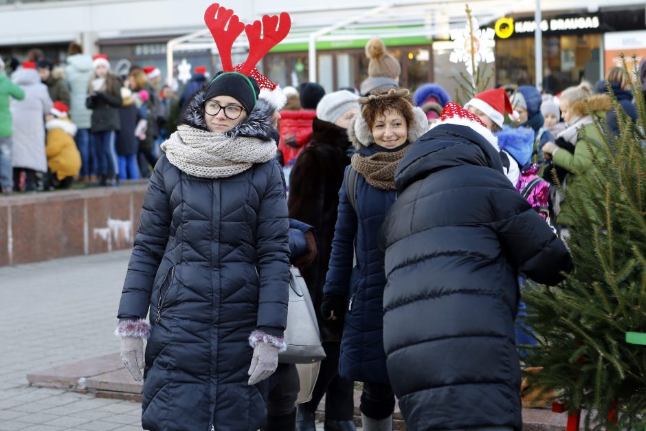 Pamatykite pirmieji: Atgimimo aikštėje išdygo eglučių miškas