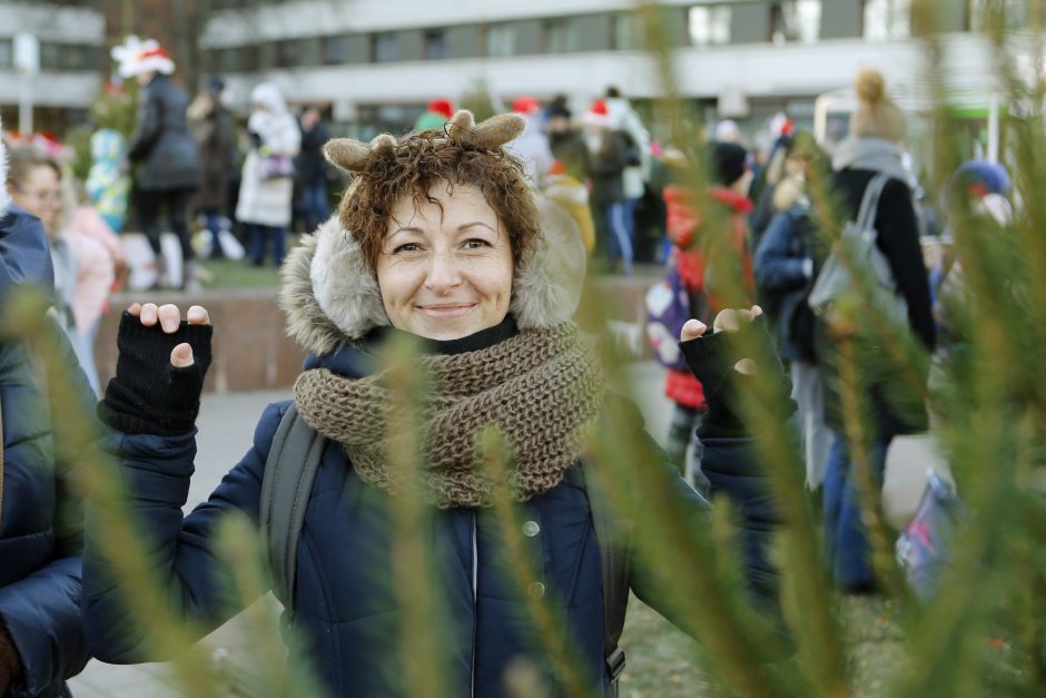 Pamatykite pirmieji: Atgimimo aikštėje išdygo eglučių miškas