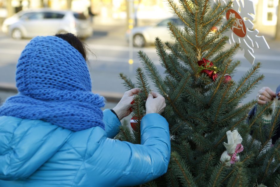 Pamatykite pirmieji: Atgimimo aikštėje išdygo eglučių miškas