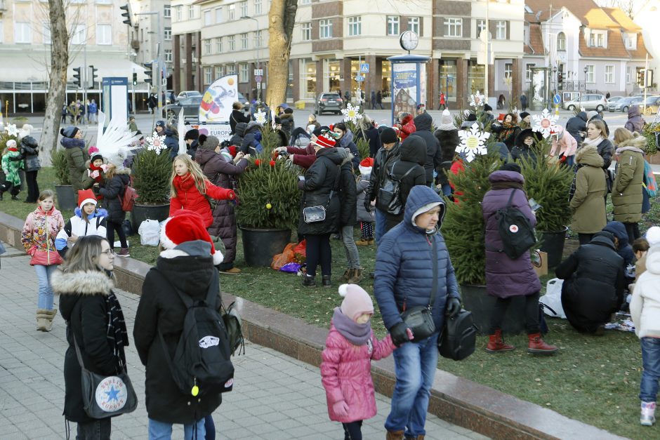 Pamatykite pirmieji: Atgimimo aikštėje išdygo eglučių miškas