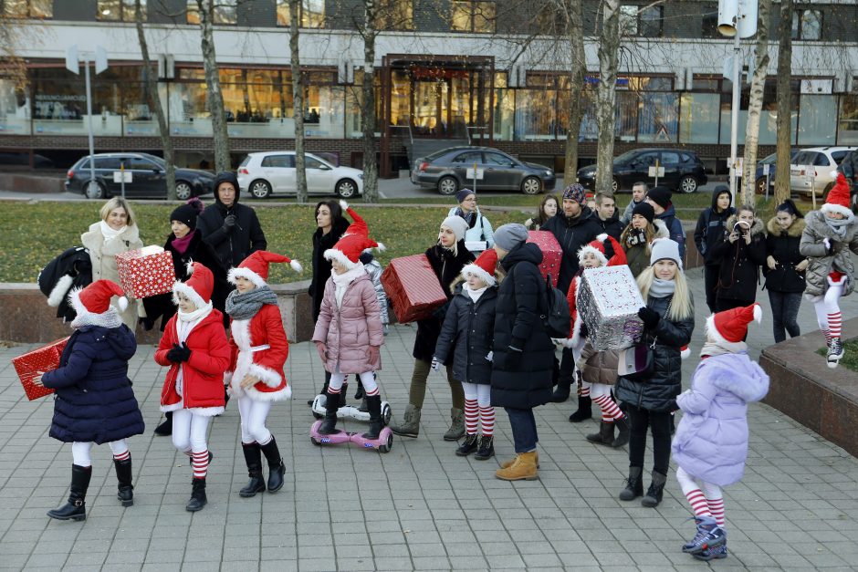 Pamatykite pirmieji: Atgimimo aikštėje išdygo eglučių miškas