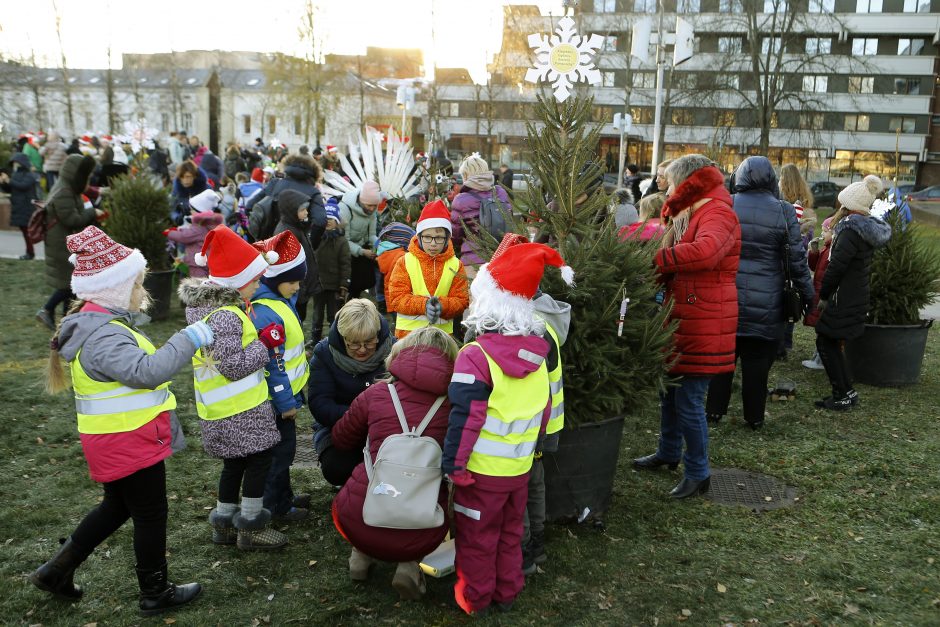 Pamatykite pirmieji: Atgimimo aikštėje išdygo eglučių miškas