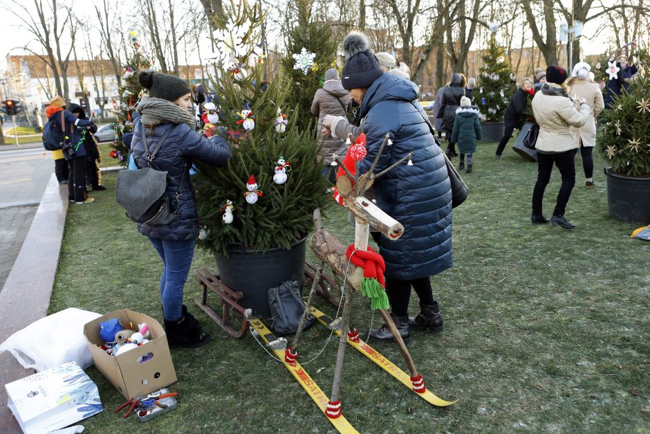 Pamatykite pirmieji: Atgimimo aikštėje išdygo eglučių miškas