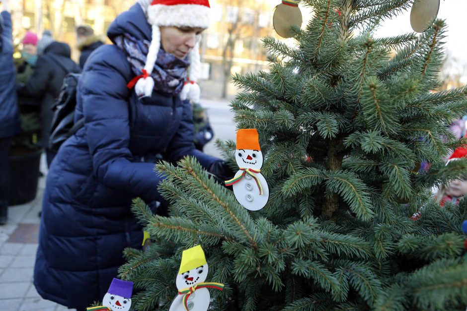 Pamatykite pirmieji: Atgimimo aikštėje išdygo eglučių miškas