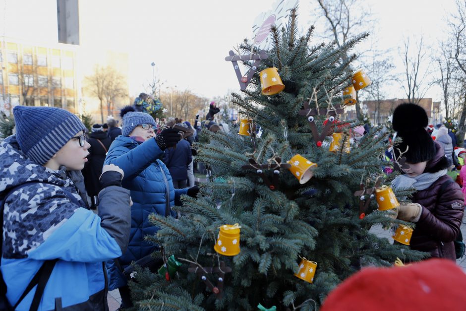 Pamatykite pirmieji: Atgimimo aikštėje išdygo eglučių miškas