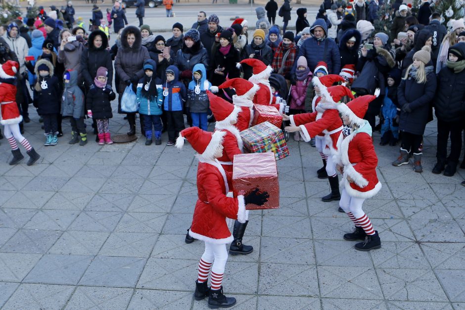 Pamatykite pirmieji: Atgimimo aikštėje išdygo eglučių miškas