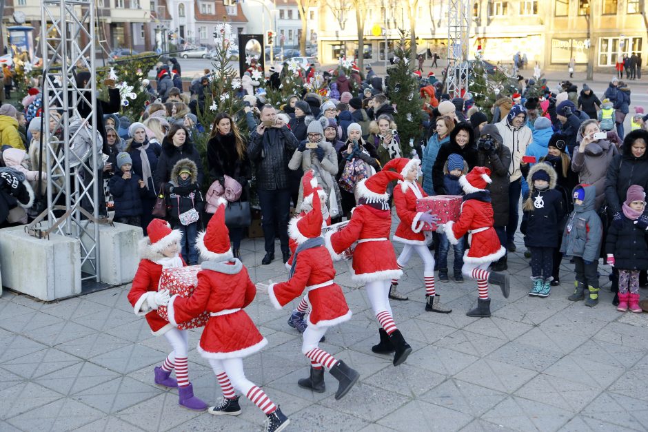 Pamatykite pirmieji: Atgimimo aikštėje išdygo eglučių miškas