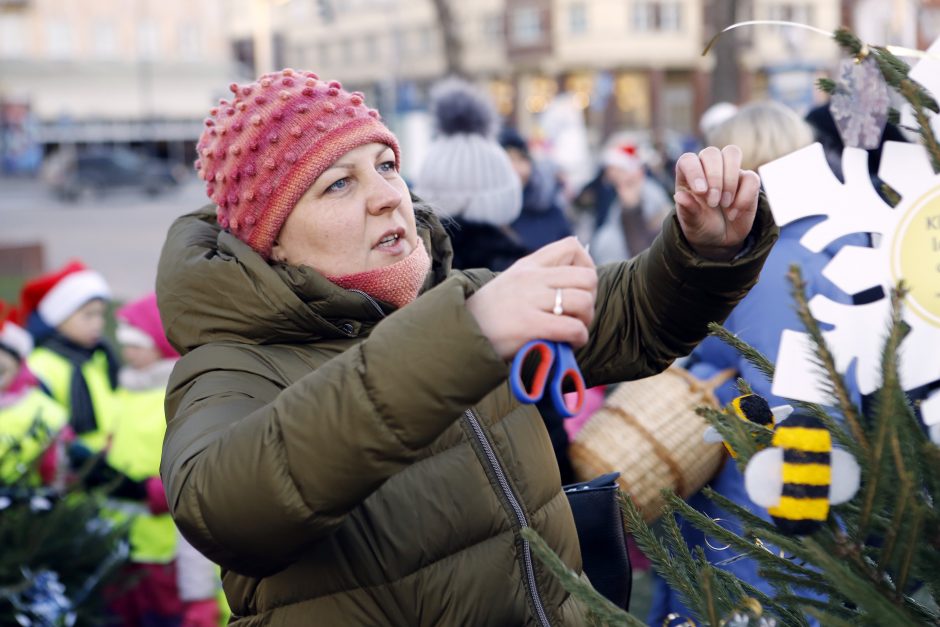 Pamatykite pirmieji: Atgimimo aikštėje išdygo eglučių miškas