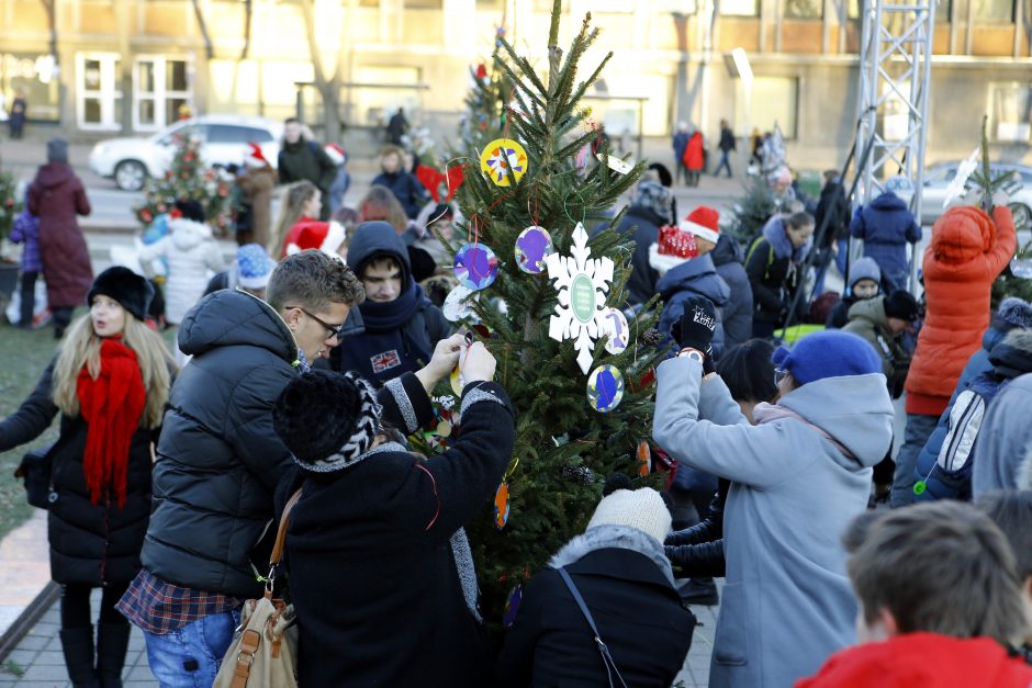 Pamatykite pirmieji: Atgimimo aikštėje išdygo eglučių miškas