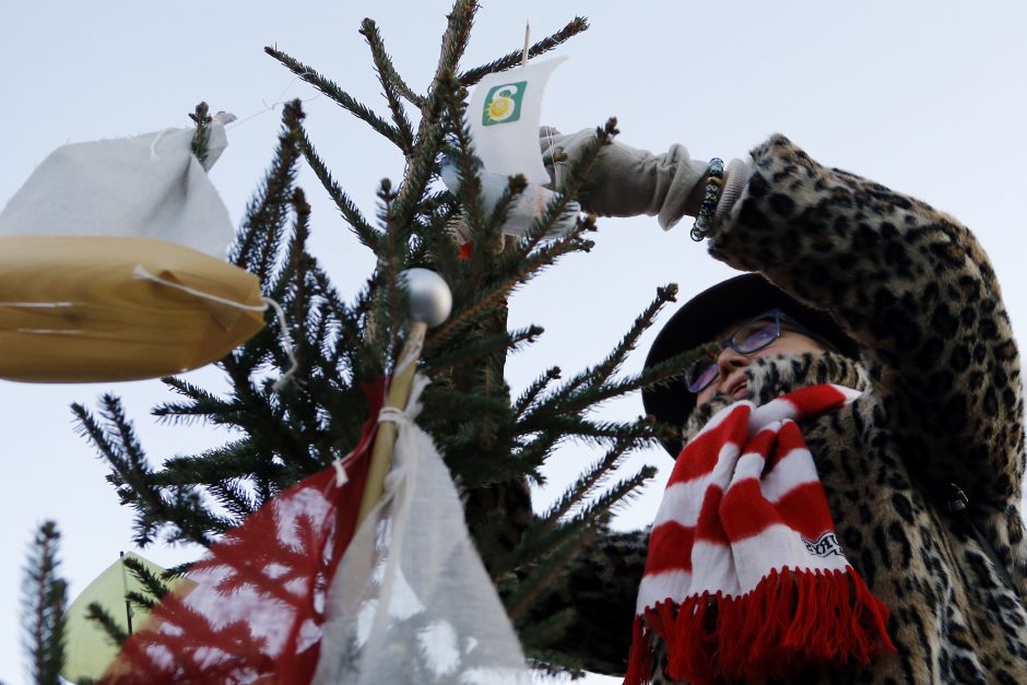 Pamatykite pirmieji: Atgimimo aikštėje išdygo eglučių miškas