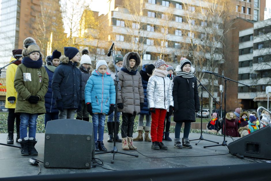 Pamatykite pirmieji: Atgimimo aikštėje išdygo eglučių miškas