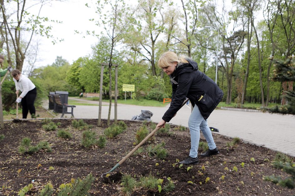 Talka Poilsio parke vienijo klaipėdiečius