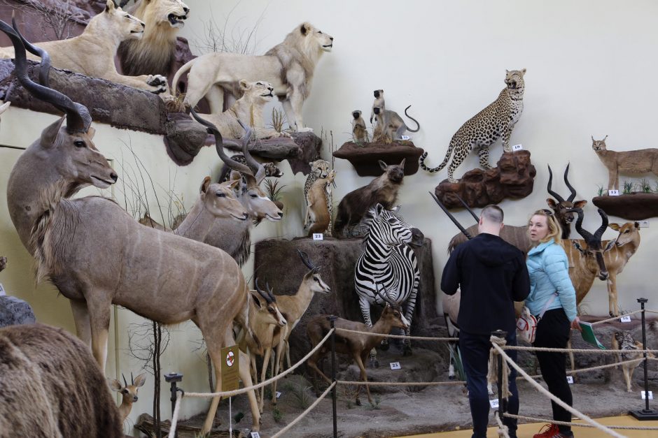 Zoologijos sode – nauji gyventojai