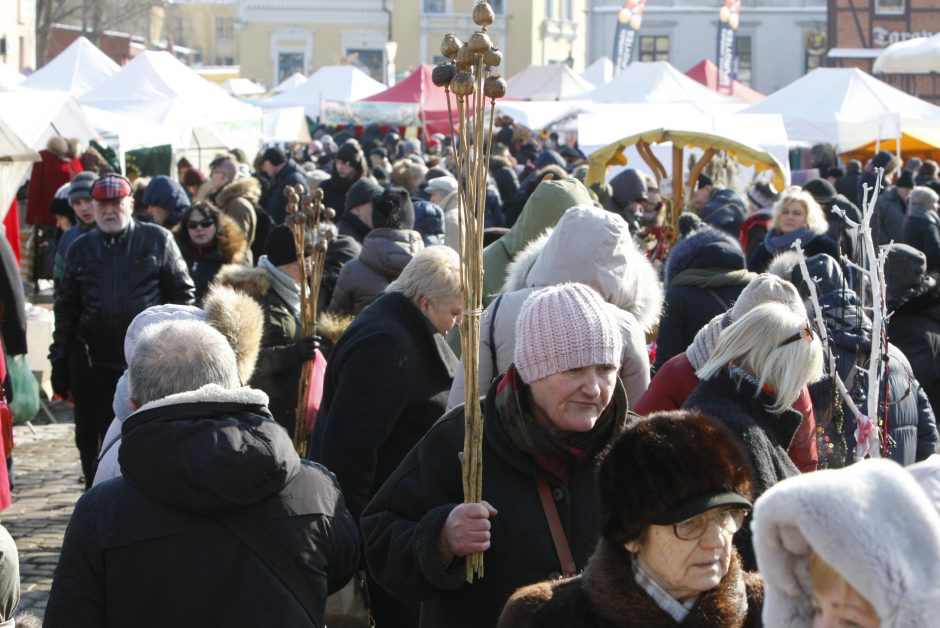 Klaipėdiečiai pradėjo švęsti Kazimierines