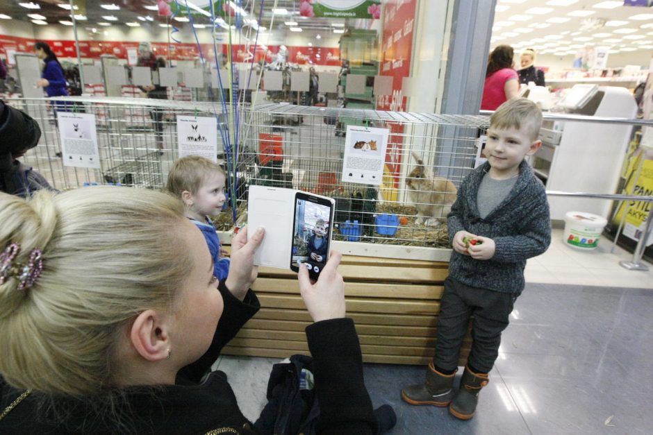 Klaipėdiečiai traukė į triušių parodą