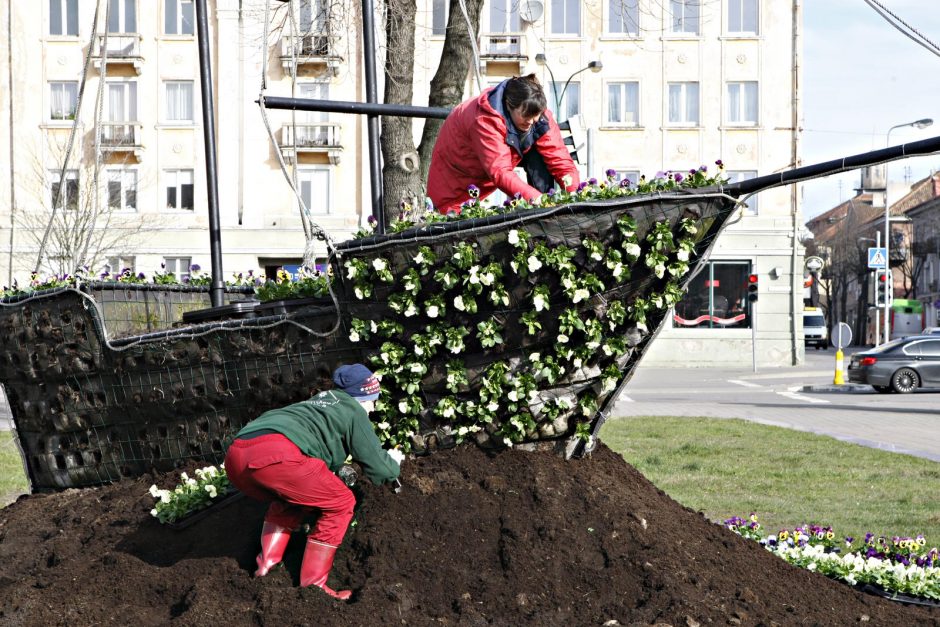 Laivelį papuošė naujos gėlės