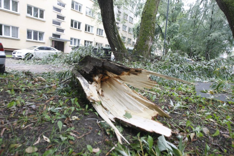 Klaipėdoje siautėjo štormas: virto medžiai, ugniagesiai vos spėjo suktis