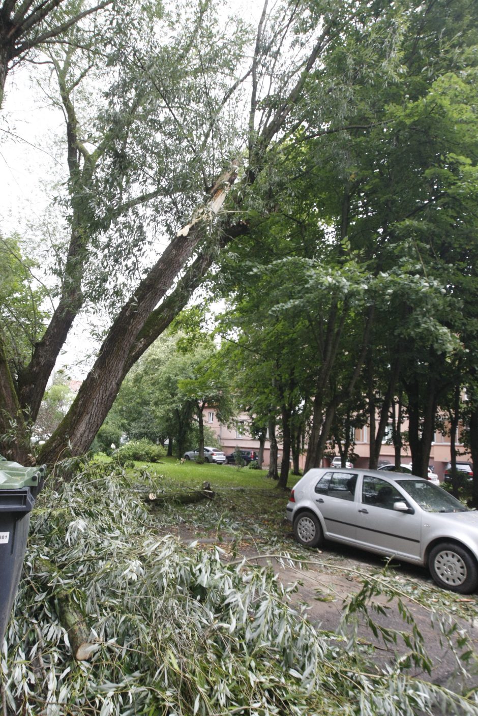 Klaipėdoje siautėjo štormas: virto medžiai, ugniagesiai vos spėjo suktis