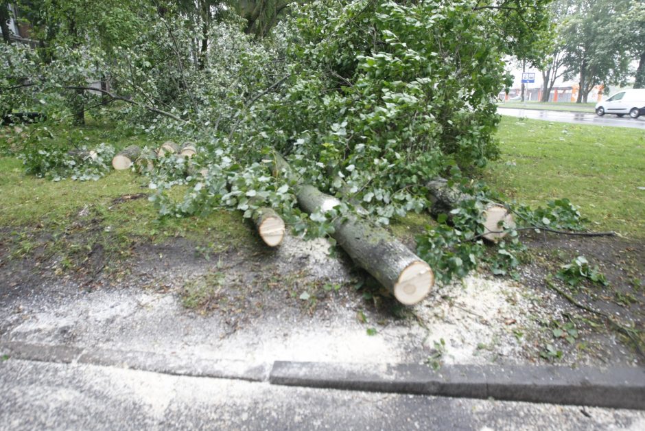 Klaipėdoje siautėjo štormas: virto medžiai, ugniagesiai vos spėjo suktis