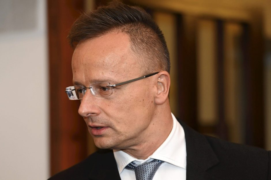 Vengrų diplomatijos vadovas kaltina Baltijos šalis šmeižtu dėl vizų rusams