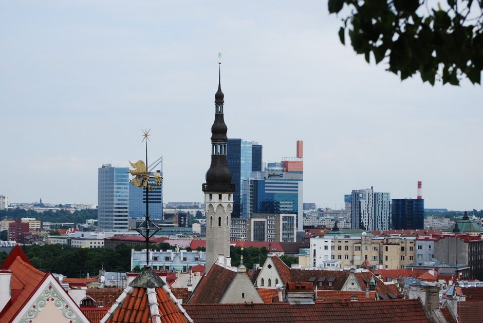 Estijos valstybės skola per metus išaugo beveik 1,5 karto