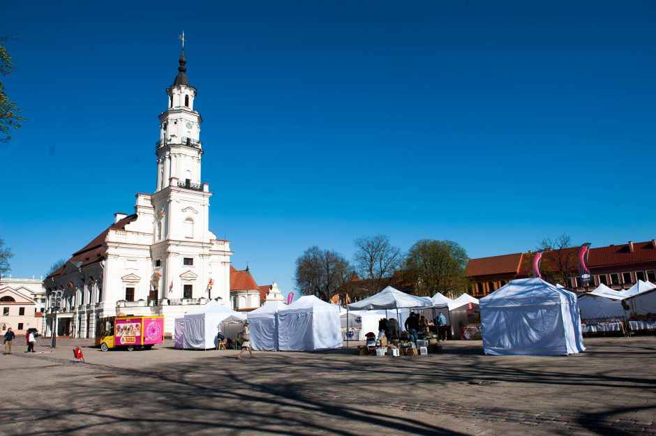 Pavasarinėje Kauno mugėje – dirbinių, siuvinių, skanėstų ir želdinių puokštė