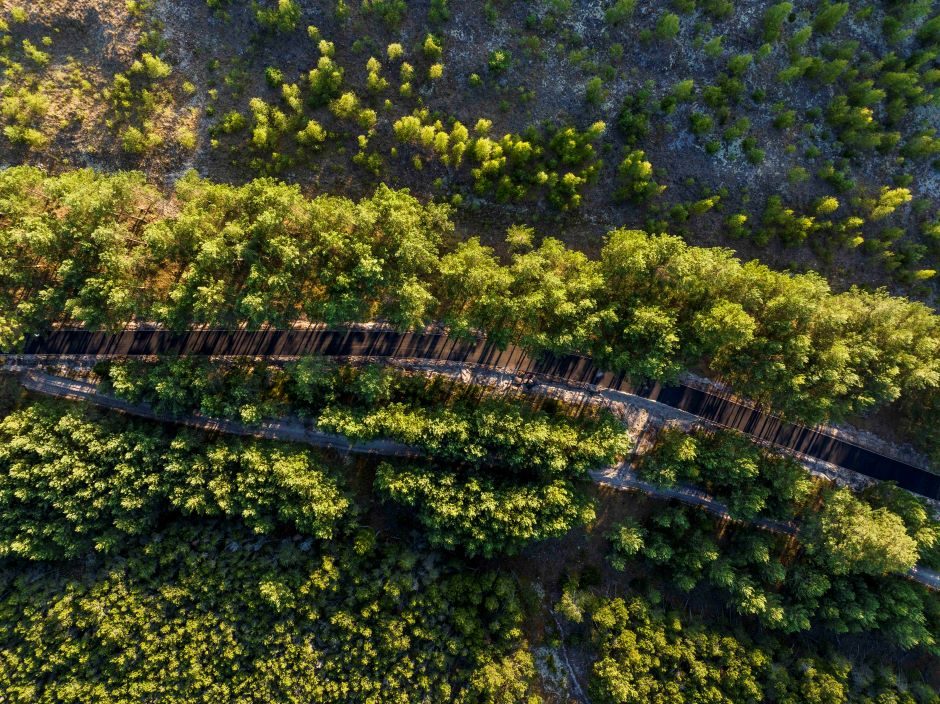 Dėl aplinkkelio tiesimo Kuršių nerijoje gresia baudos