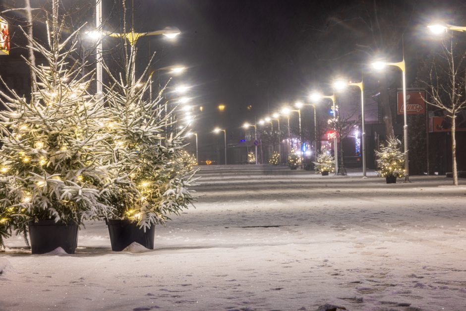 Palanga šventiškai suspindo tūkstančiais šviesų: miestą užbūrė M. K. Čiurlionio Kalėdų pasaka