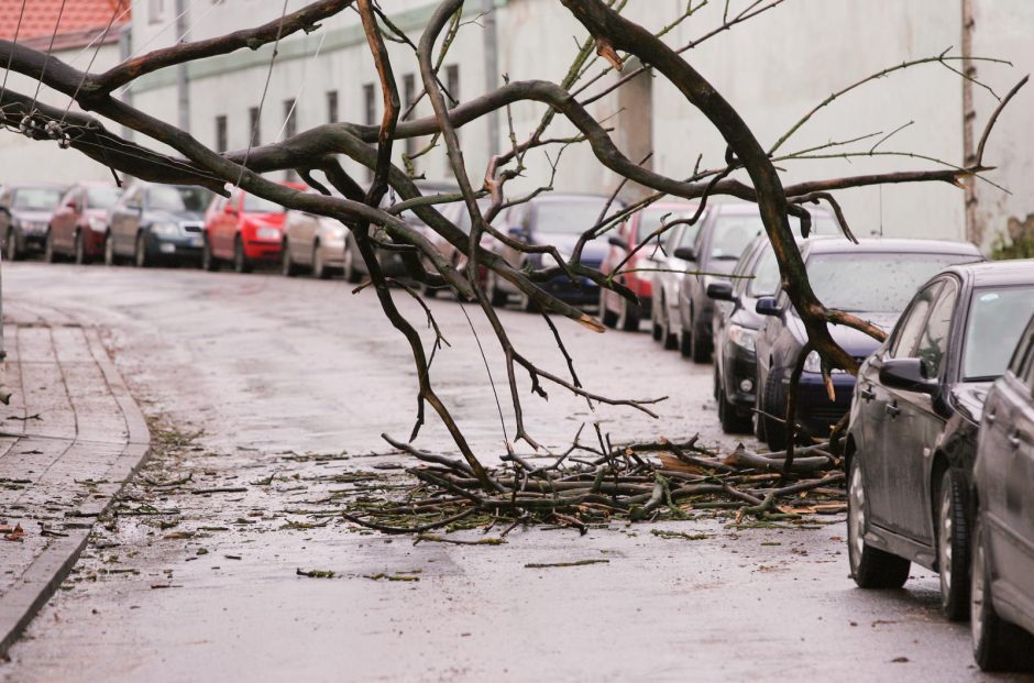 Savaitgalį siautėjęs stiprus vėjas sukėlė problemų: kelius tvėrė nuvirtę medžiai