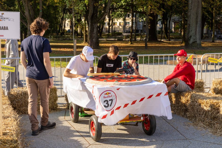 „Jabadabadū“ nuo kalno: muilinių lenktynėse – humoras ir kūrybiškumas