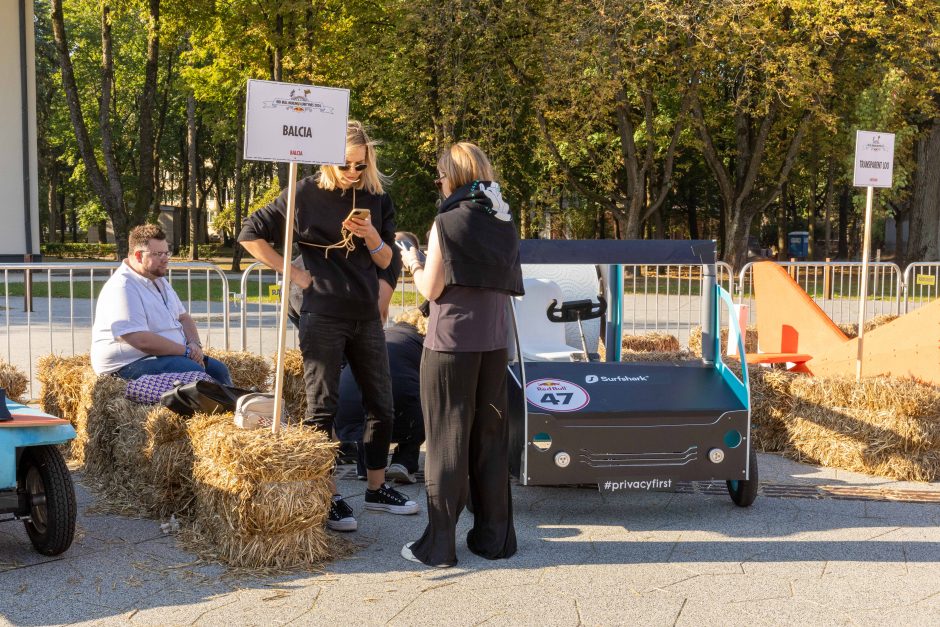 „Jabadabadū“ nuo kalno: muilinių lenktynėse – humoras ir kūrybiškumas