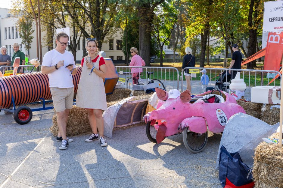 „Jabadabadū“ nuo kalno: muilinių lenktynėse – humoras ir kūrybiškumas